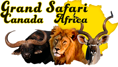 Chasse en Afrique - Grand Safari Canada Africa